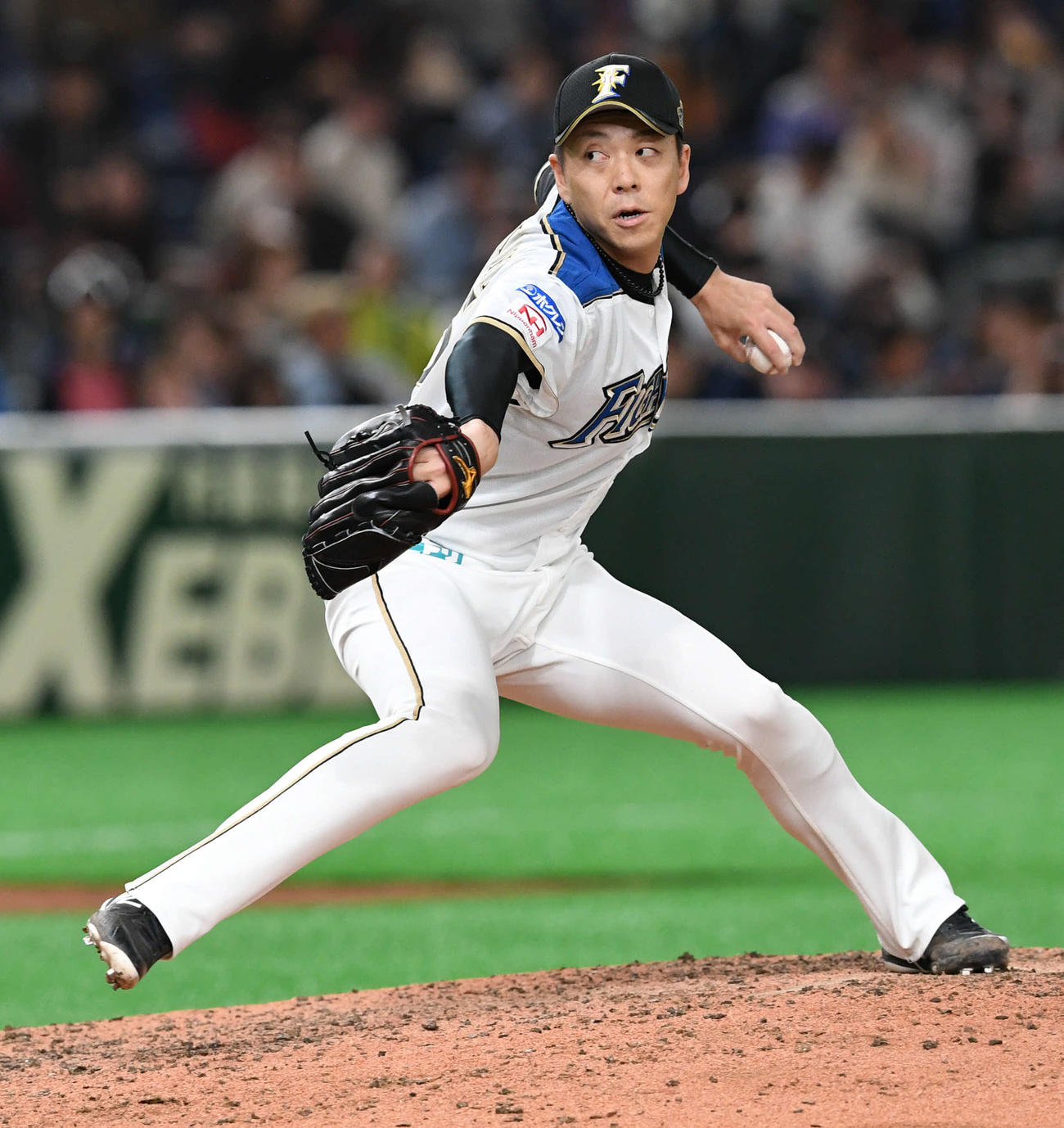 力投する日本ハム宮西（19年3月18日撮影）