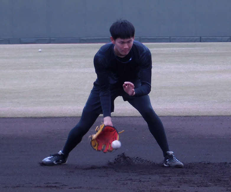 ノックを受ける及川（球団提供）