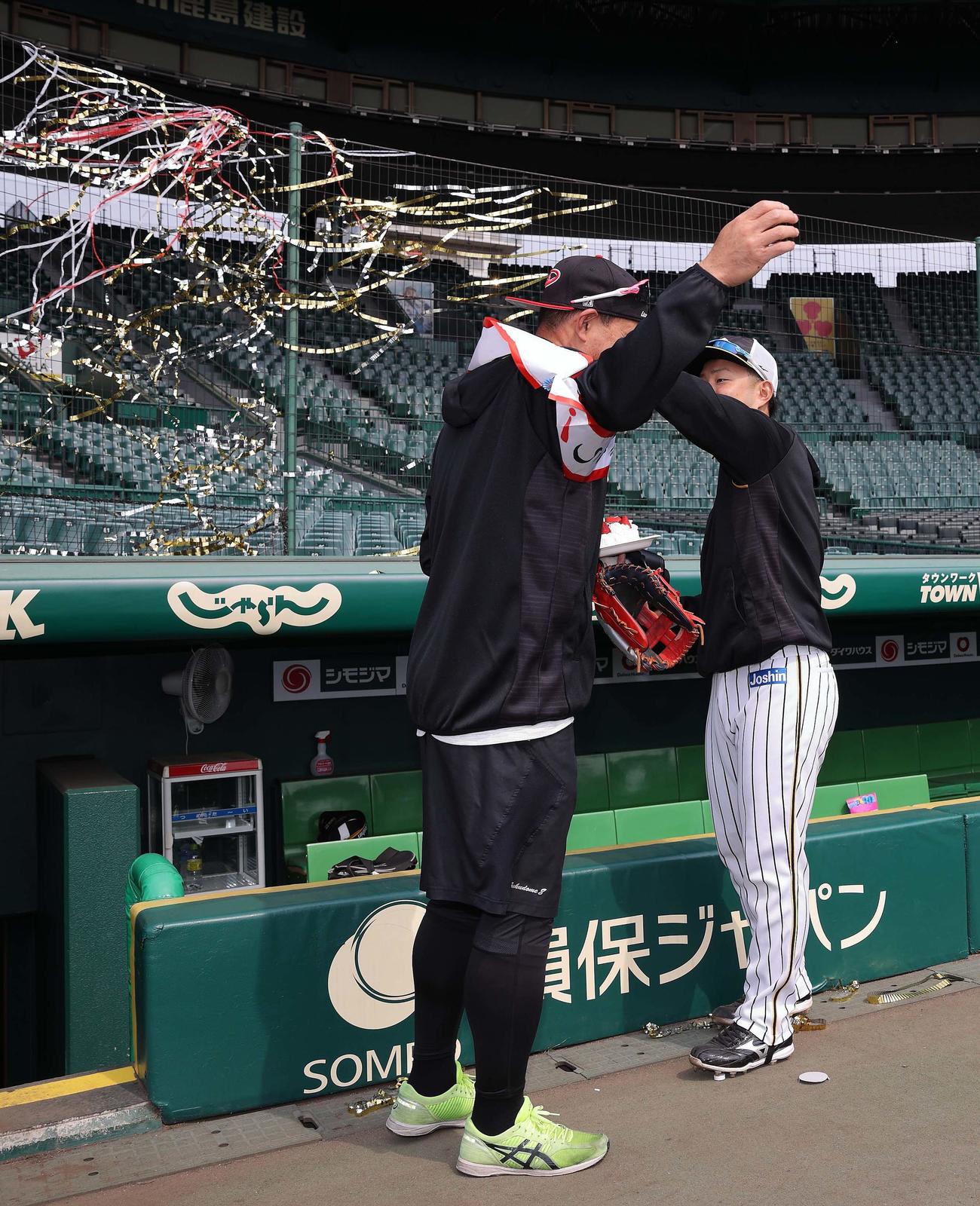 43歳の誕生日を迎え糸原健斗（右）からおめでとうタスキを掛けられる福留孝介（球団提供）