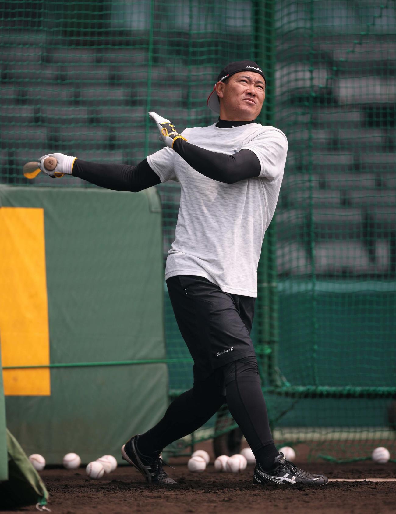43歳の誕生日を迎えた福留は、甲子園球場でフリー打撃に励む（阪神タイガース提供）