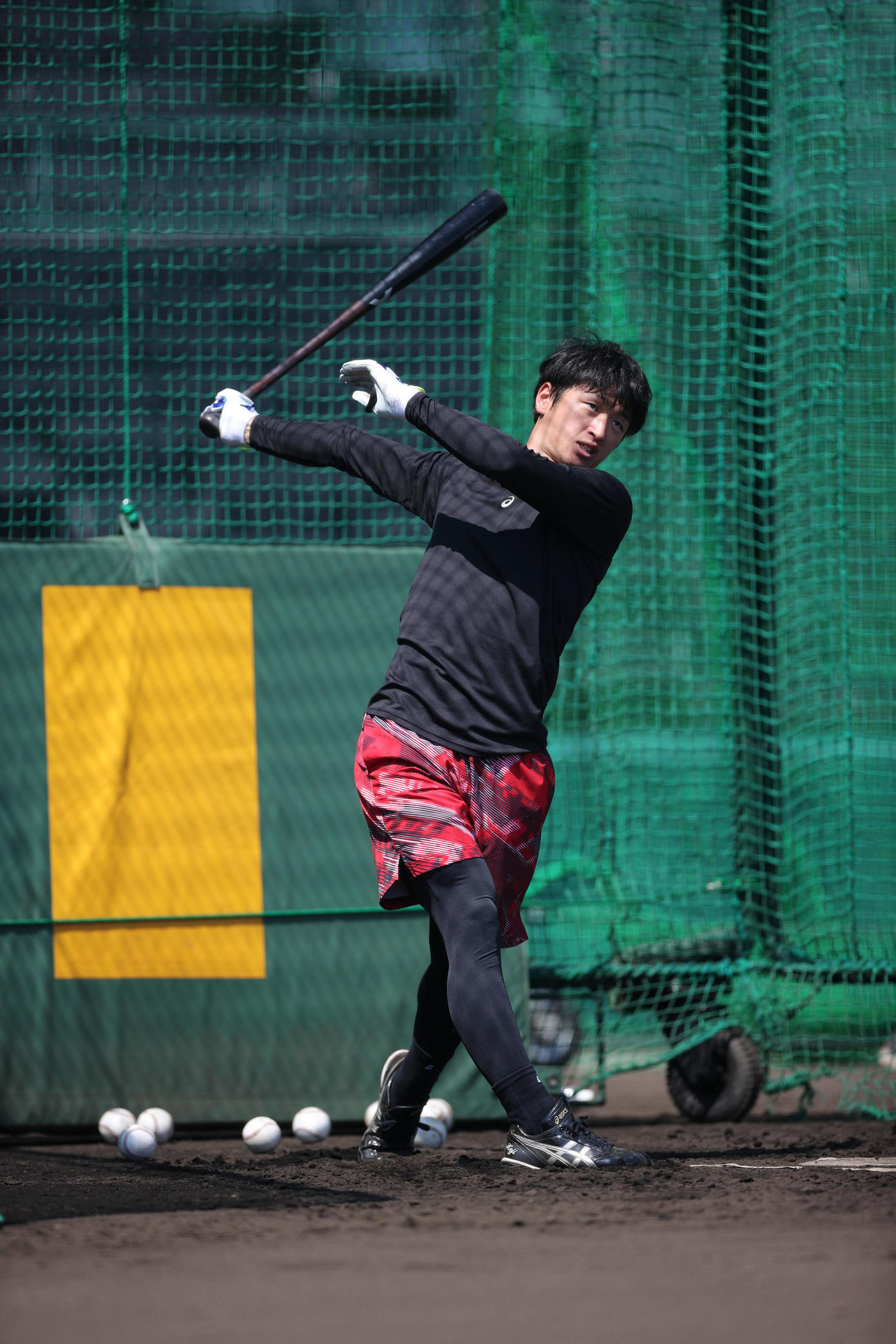 甲子園球場でフリー打撃を行う阪神近本（球団提供）