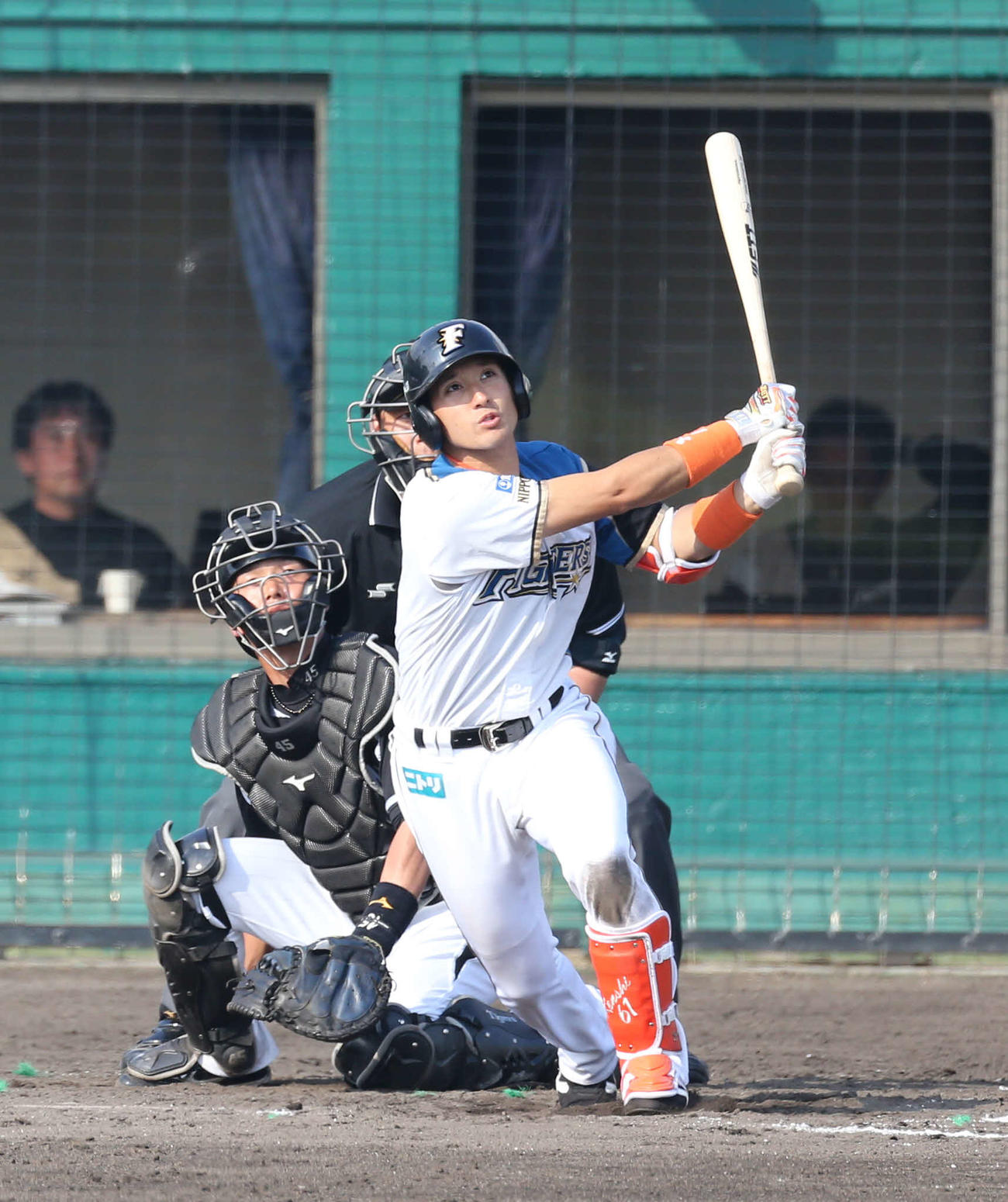 13年2月22日　阪神とのオープン戦で2点本塁打を放つ日本ハム杉谷