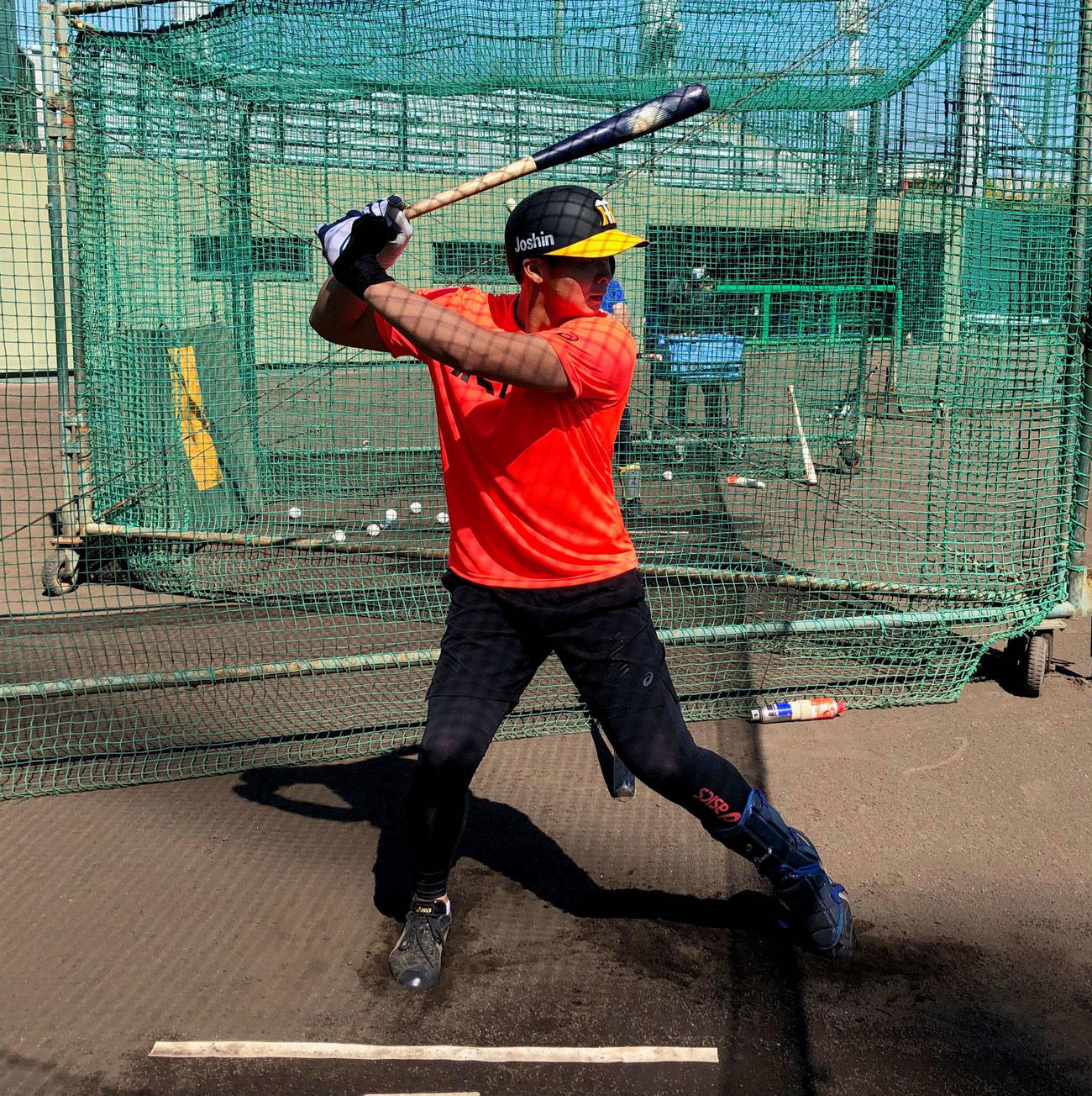 鳴尾浜球場でフリー打撃に励む井上（球団提供）