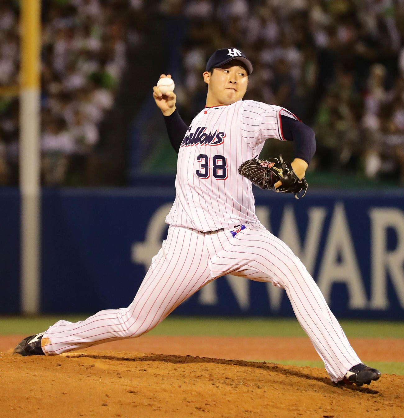 ヤクルト梅野雄吾（2019年7月27日撮影）