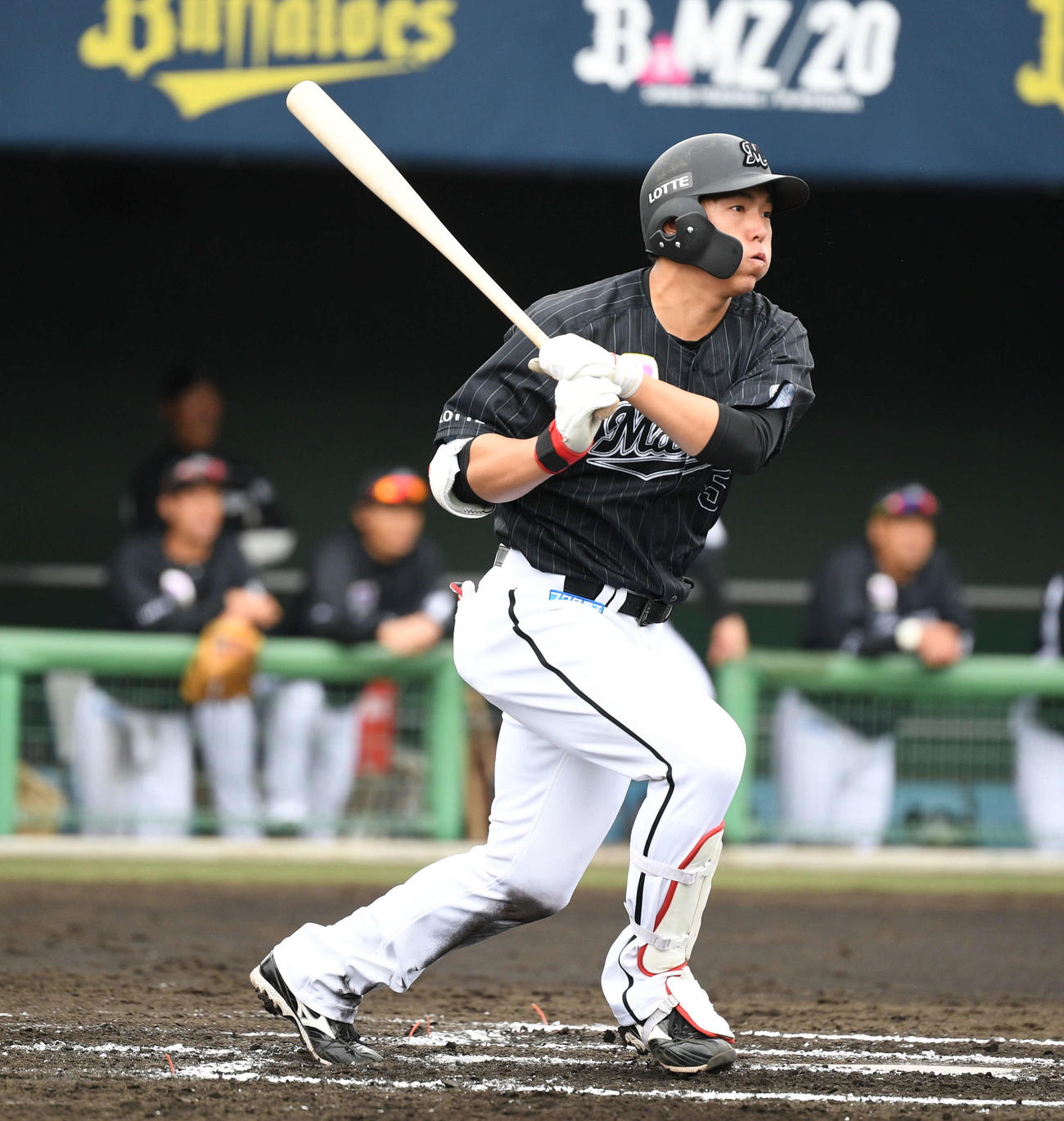 ロッテ安田（2020年2月27日撮影）