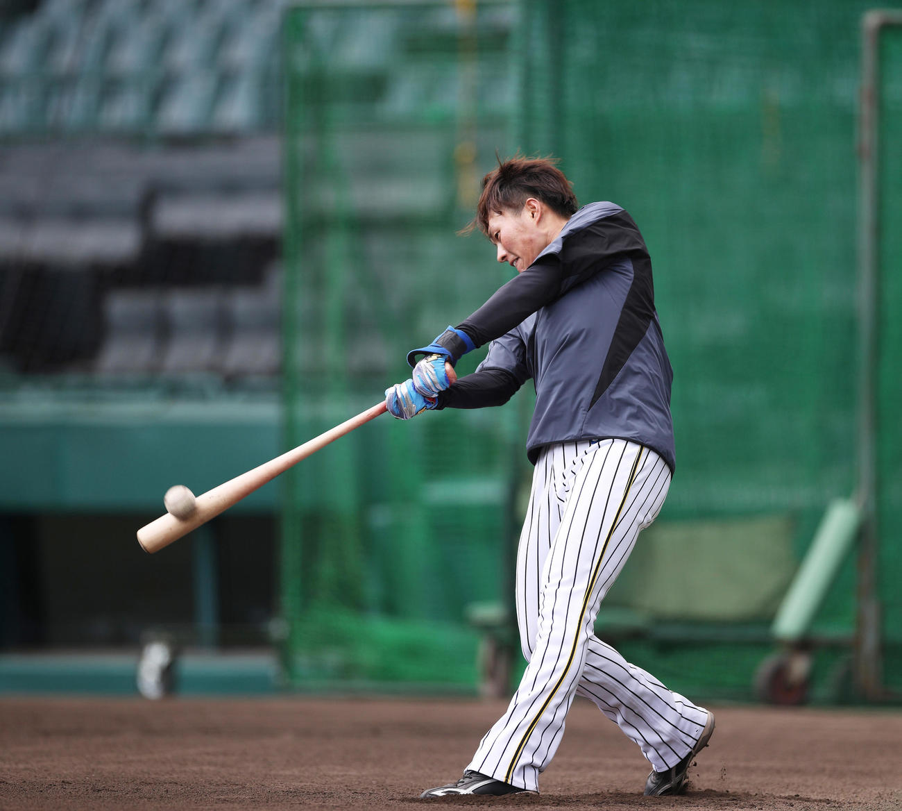 甲子園で自主練習を行う阪神北條（球団提供）