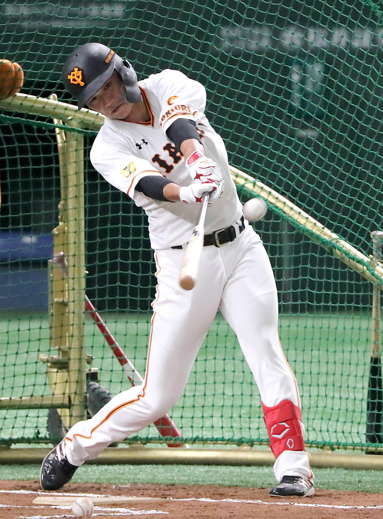 打撃練習を行う巨人坂本（提供：読売巨人軍）