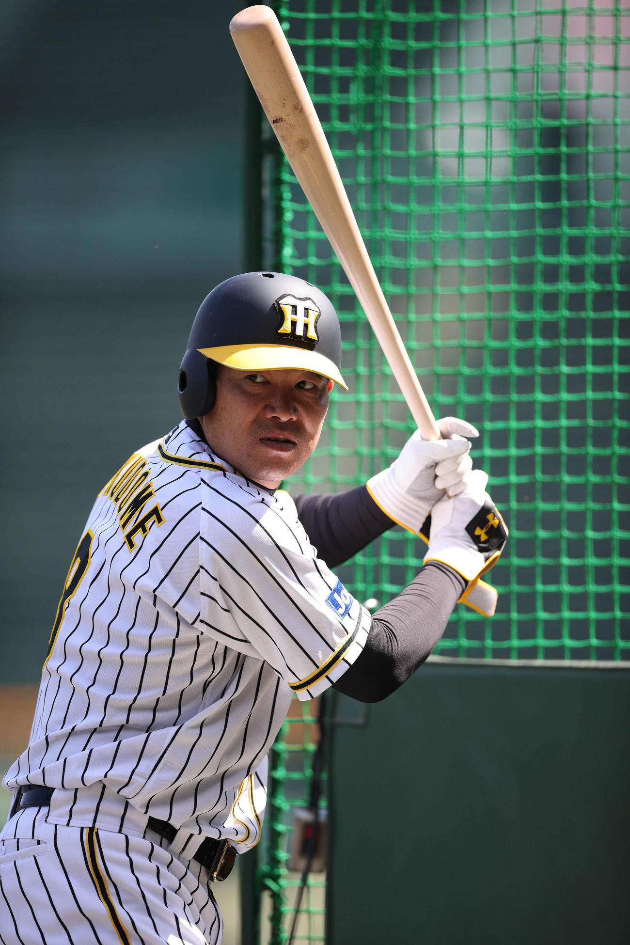 打撃練習を行う阪神福留（球団提供）