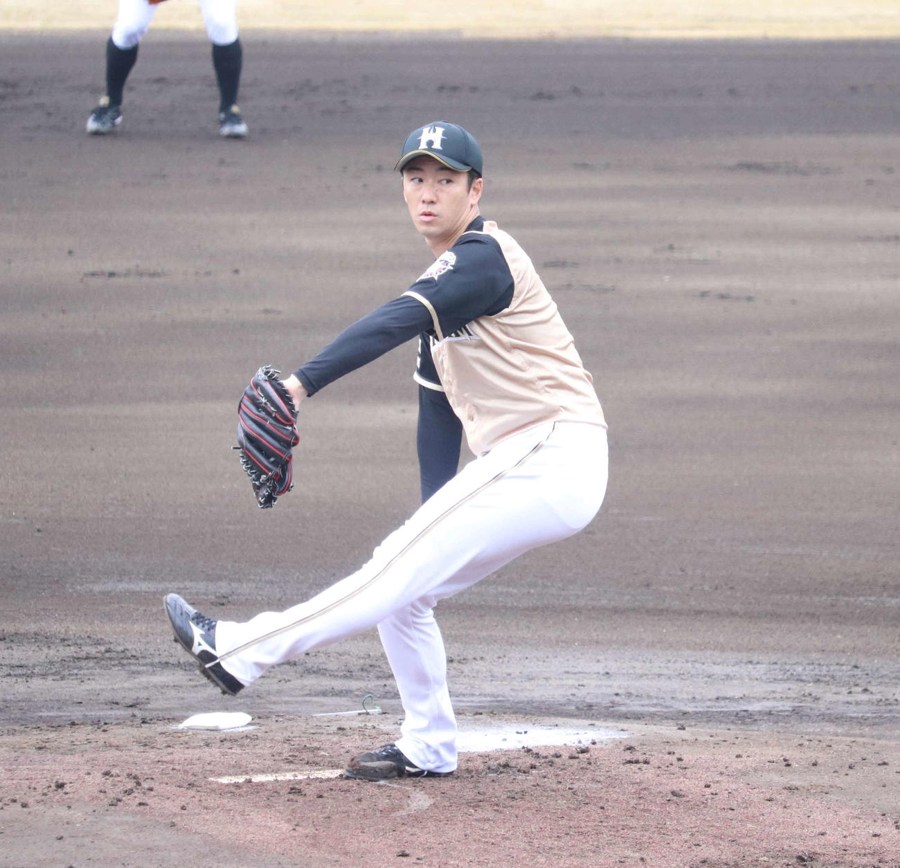 日本ハム斎藤佑樹（2020年3月4日撮影）