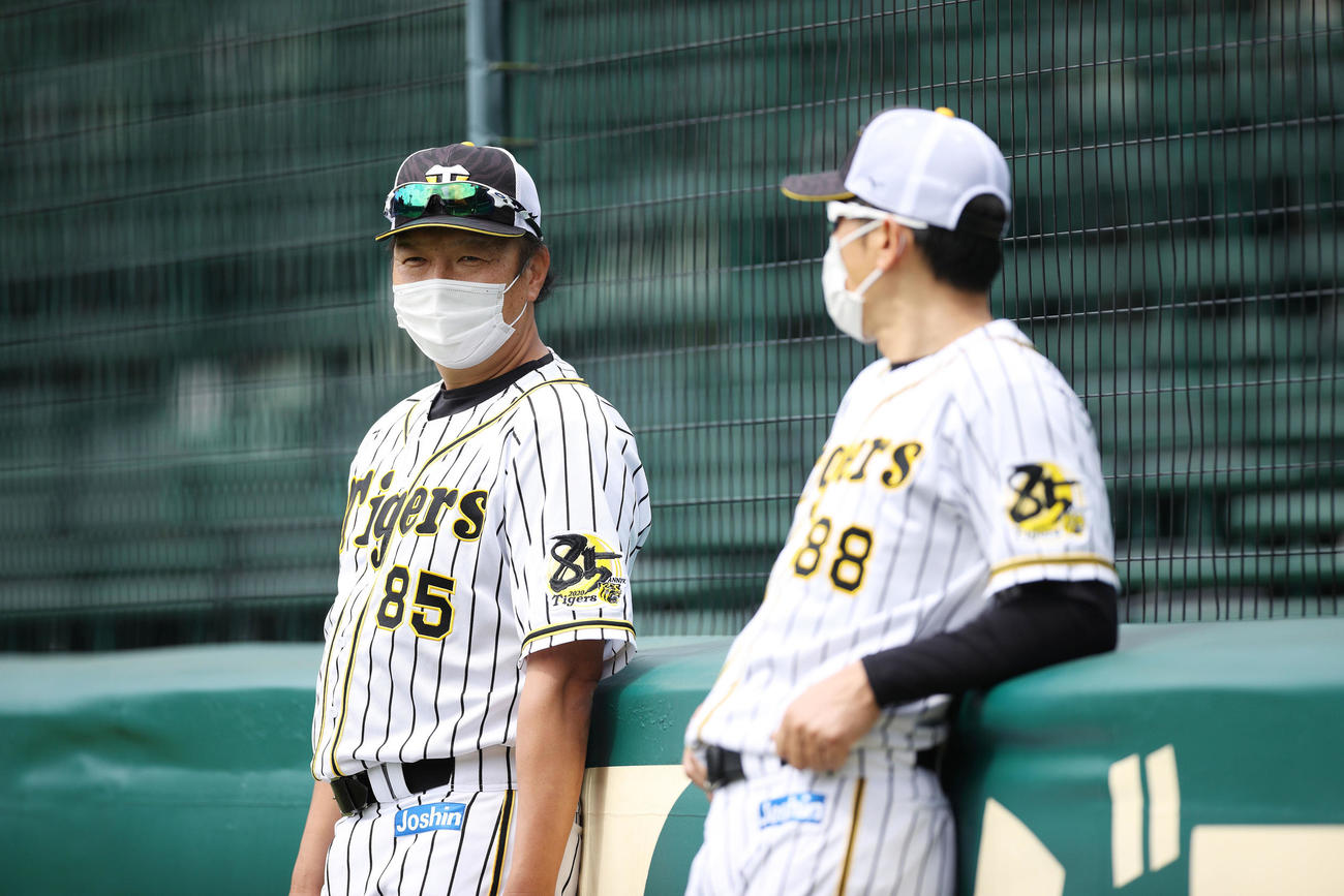 練習中、矢野監督（右）と話す福原投手コーチ（球団提供）