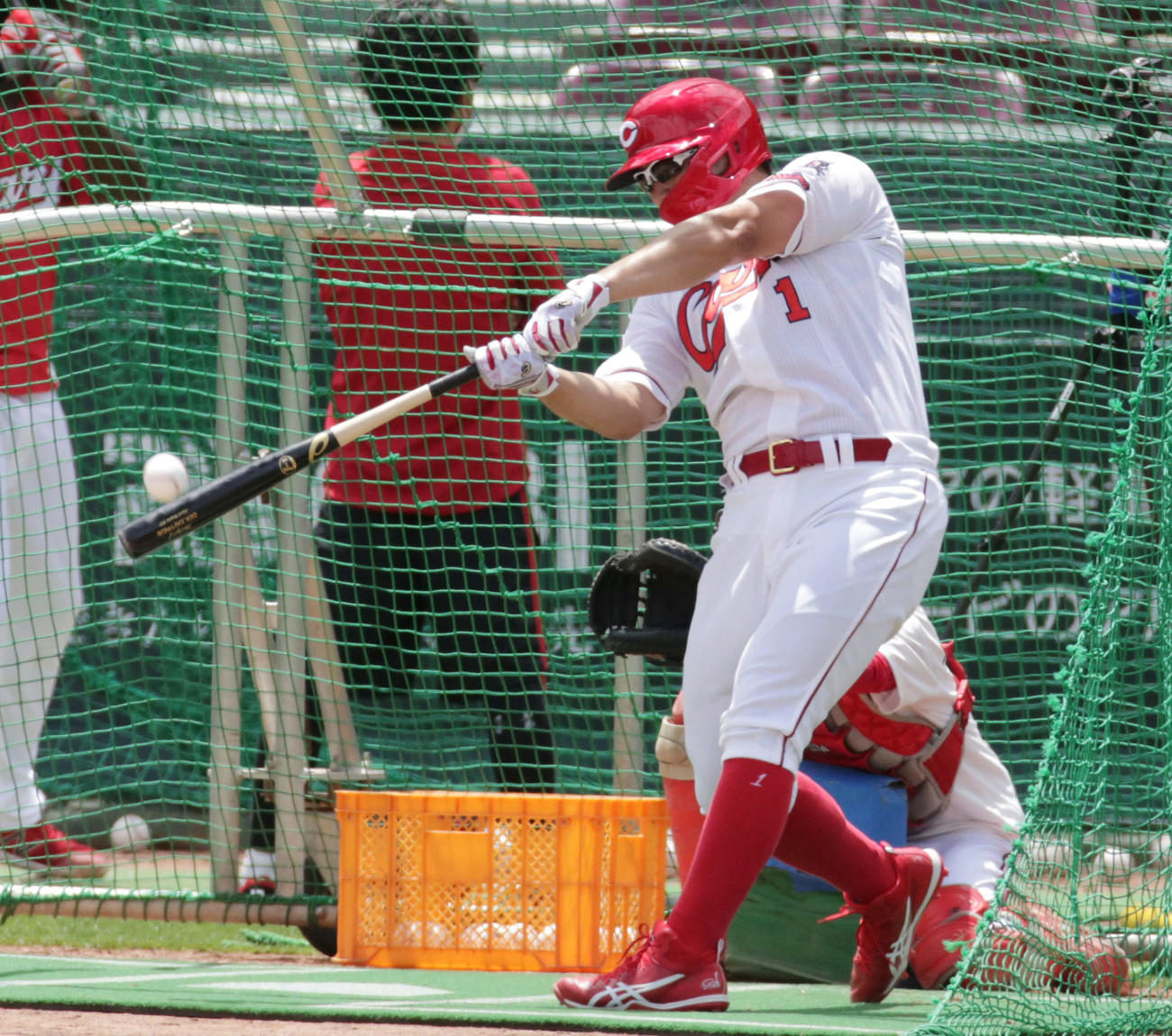 打撃練習する広島鈴木誠（撮影・加藤孝規）