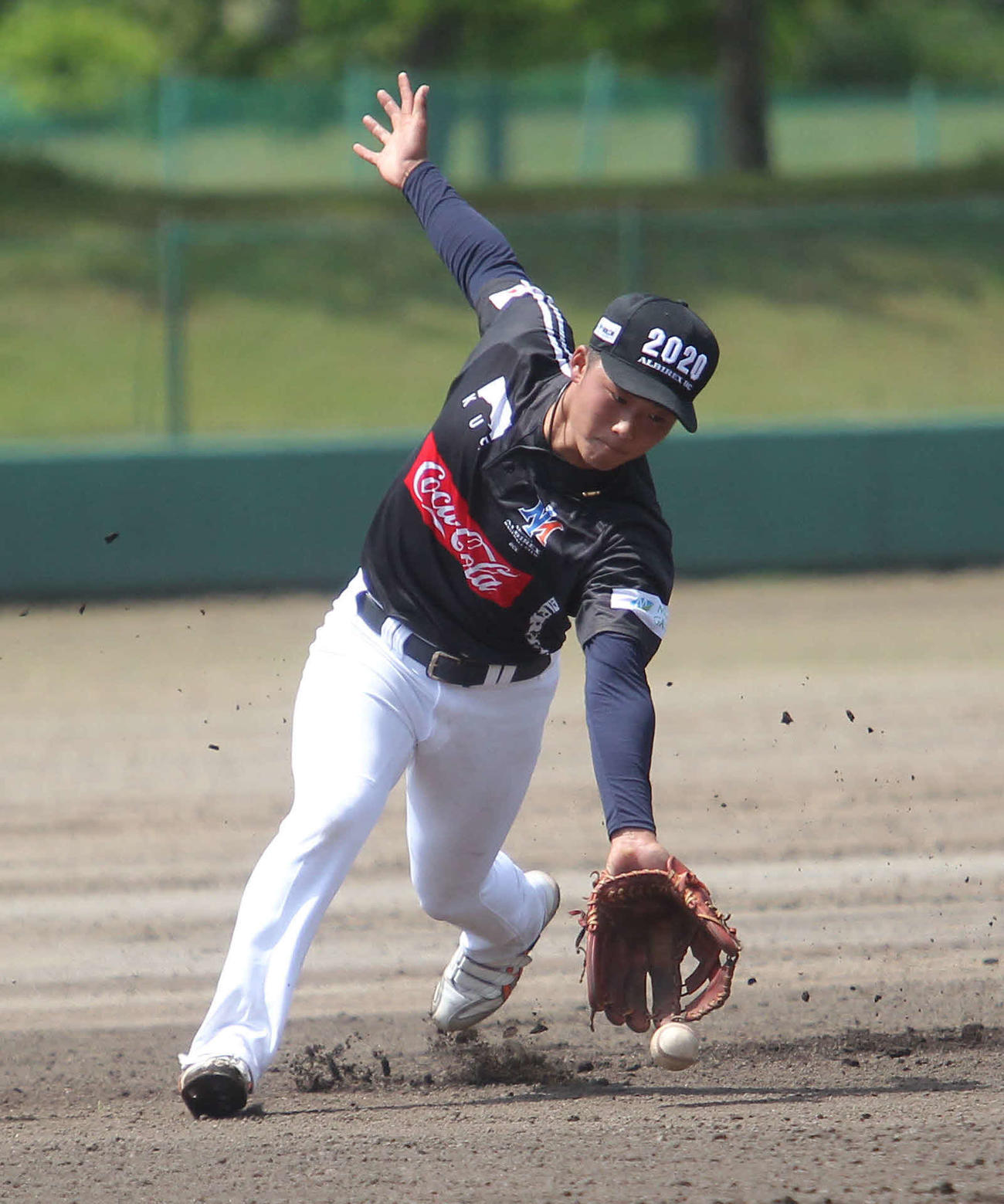 ノックを受ける大橋内野手