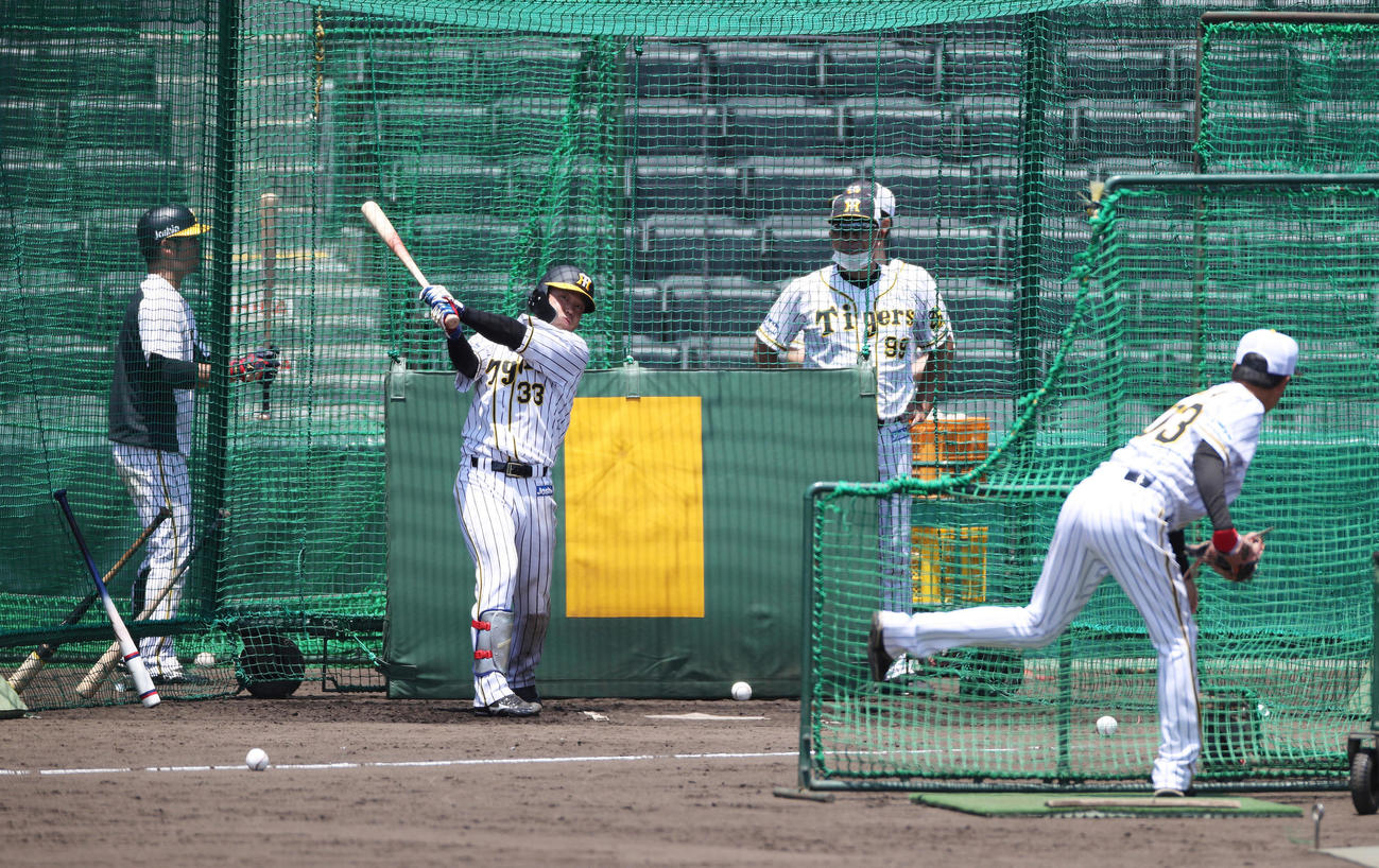 集合練習で打撃練習を行う糸原（球団提供）