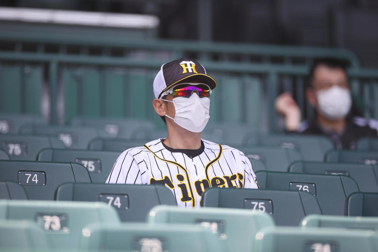 シート打撃をスタンドから見る矢野監督（球団提供）