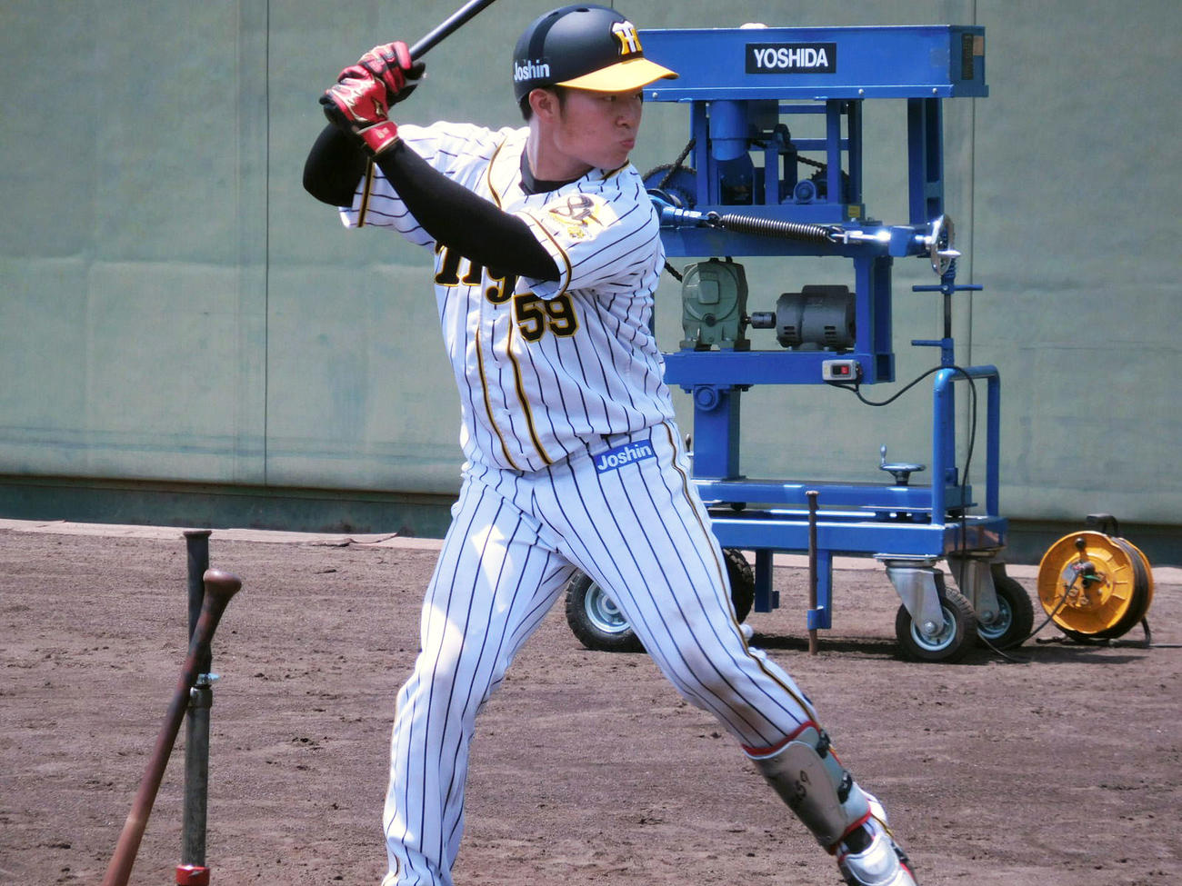 鳴尾浜球場で汗を流す藤田（球団提供）