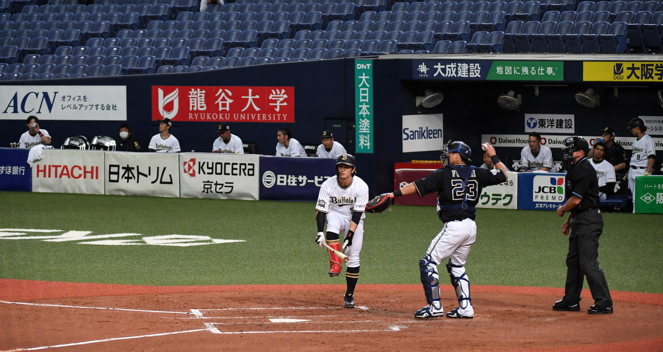 紅白戦　ベンチ横のカメラマン席に入るオリックスナイン（撮影・前岡正明）