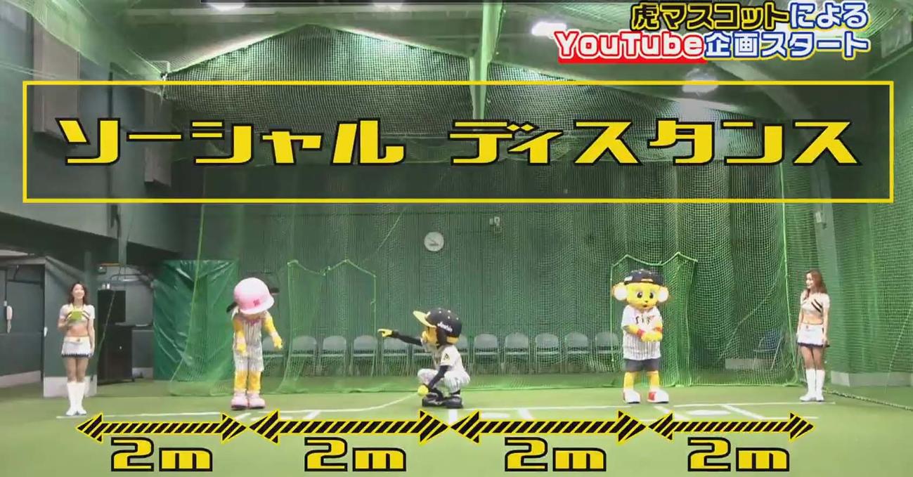阪神マスコット企画でもソーシャルディスタンスを守る中央左からラッキー、トラッキー、キー太とタイガースガール（阪神タイガース公式YouTube）