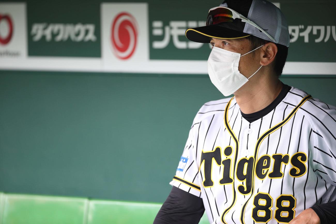 練習を見守る阪神矢野燿大監督（球団提供）