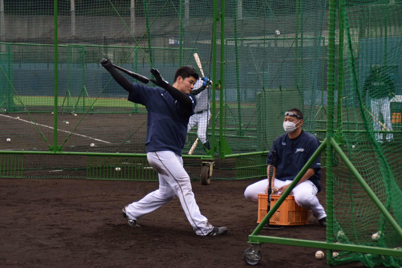 チーム練習でティー打撃を行う日本ハム清宮（球団提供）