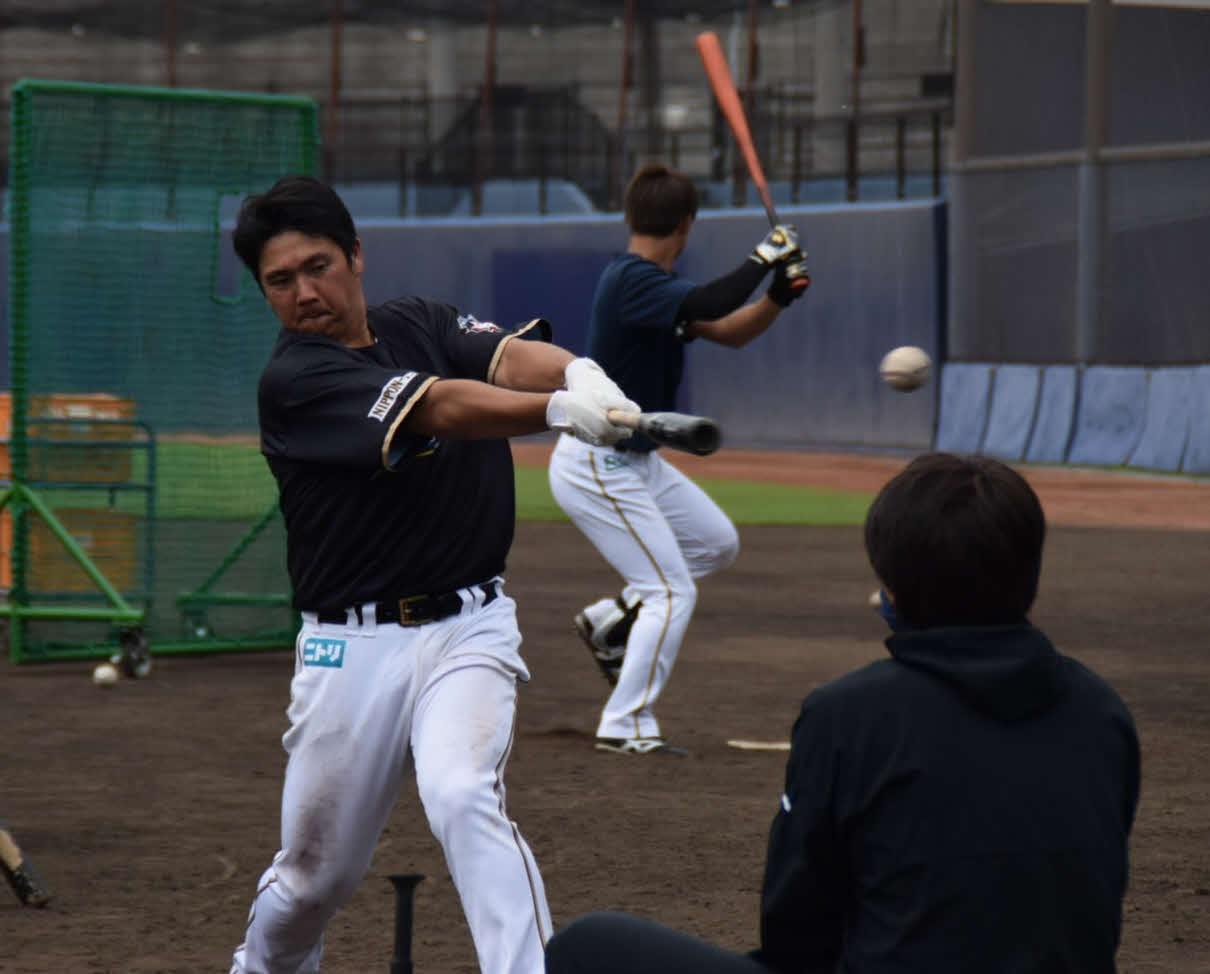 鎌ケ谷でチーム練習に参加した日本ハム横尾（球団提供）