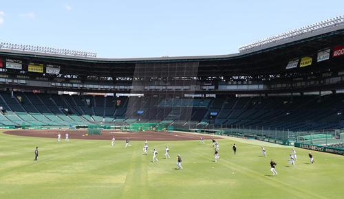 甲子園で練習を行う阪神の選手たち（撮影・清水貴仁）