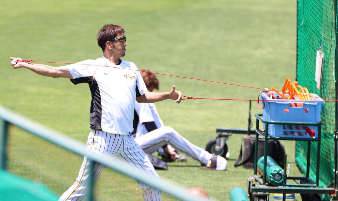 ゴムトレで汗を流す藤川球児（撮影・清水貴仁）