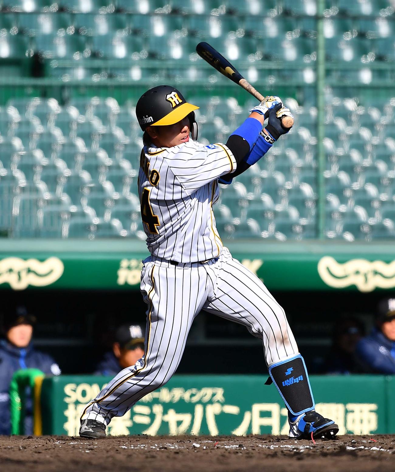 阪神・梅野隆太郎（2020年3月6日撮影）
