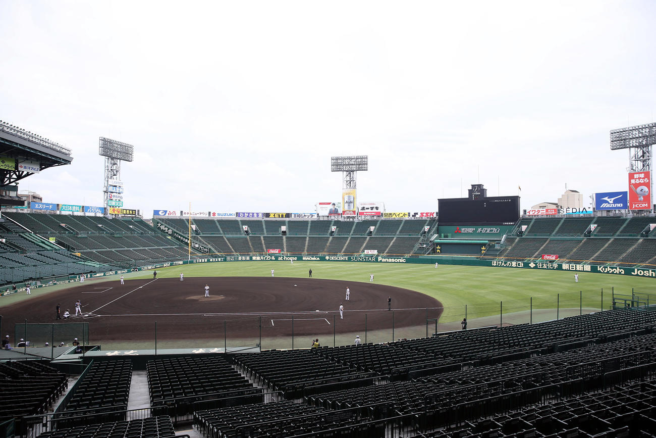 阪神紅白戦　甲子園球場で紅白戦を行う阪神ナイン（撮影・前田充）