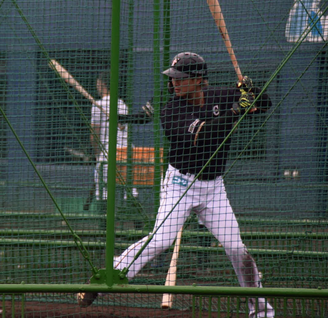 打撃練習を行う日本ハム西川（球団提供）