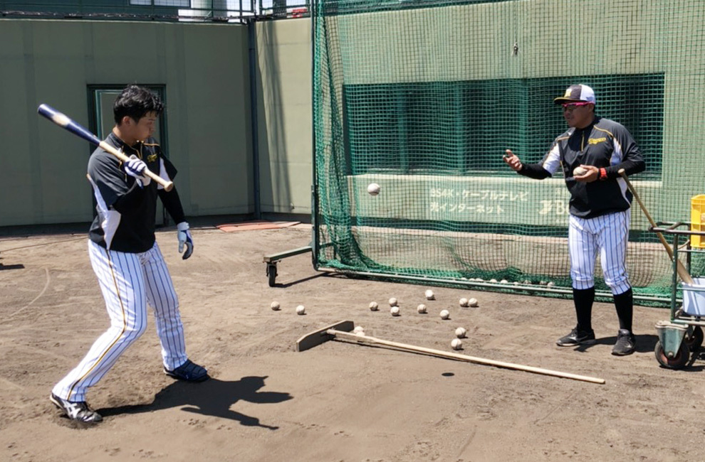 練習を行う井上広大（球団提供）