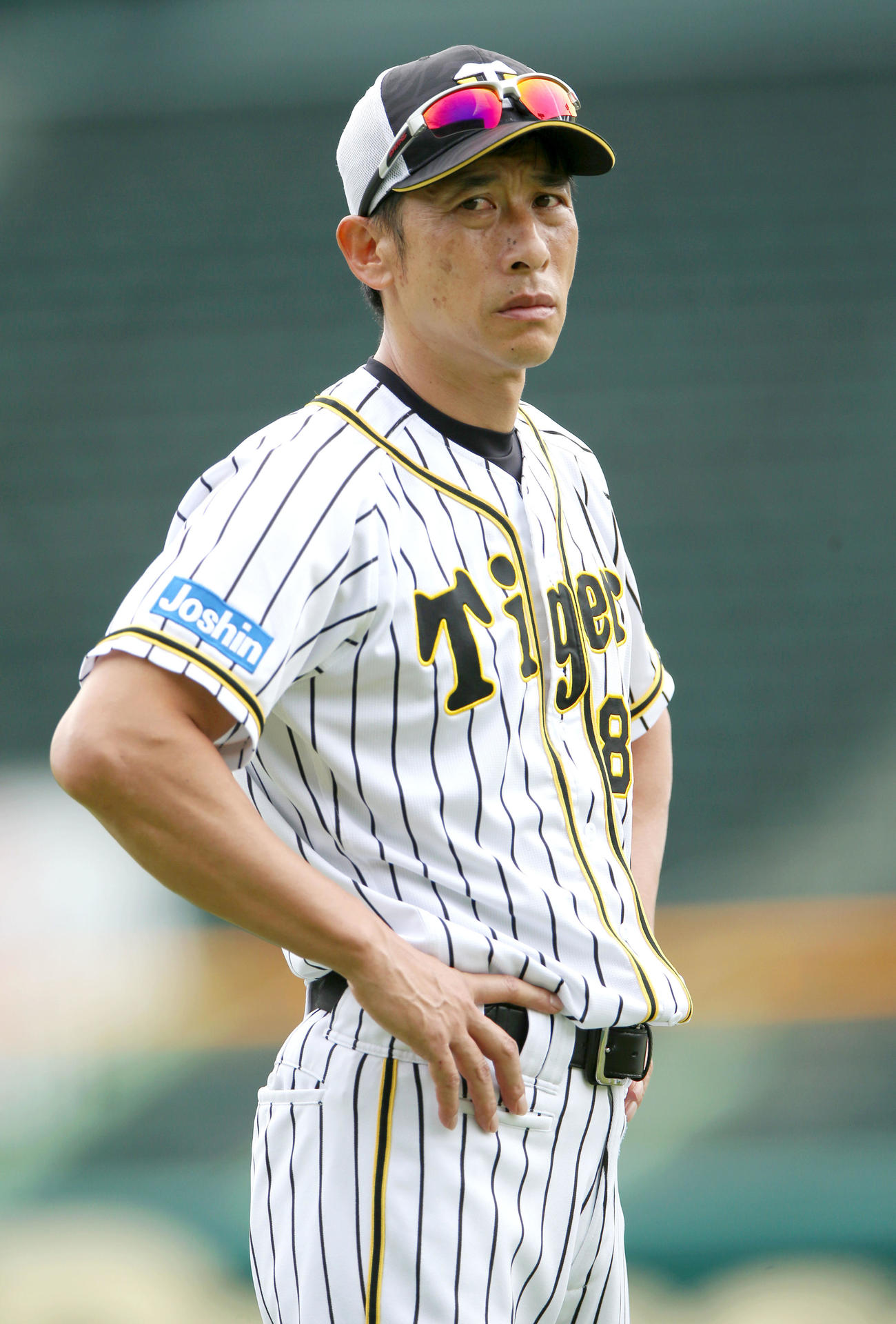 阪神矢野燿大監督（19年10月3日撮影）