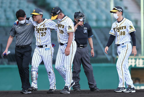 練習試合・阪神対広島　6回裏阪神1死一塁、糸原健斗（左から2人目）は死球を受け痛そうにグラウンド」を離れる（撮影・上山淳一）