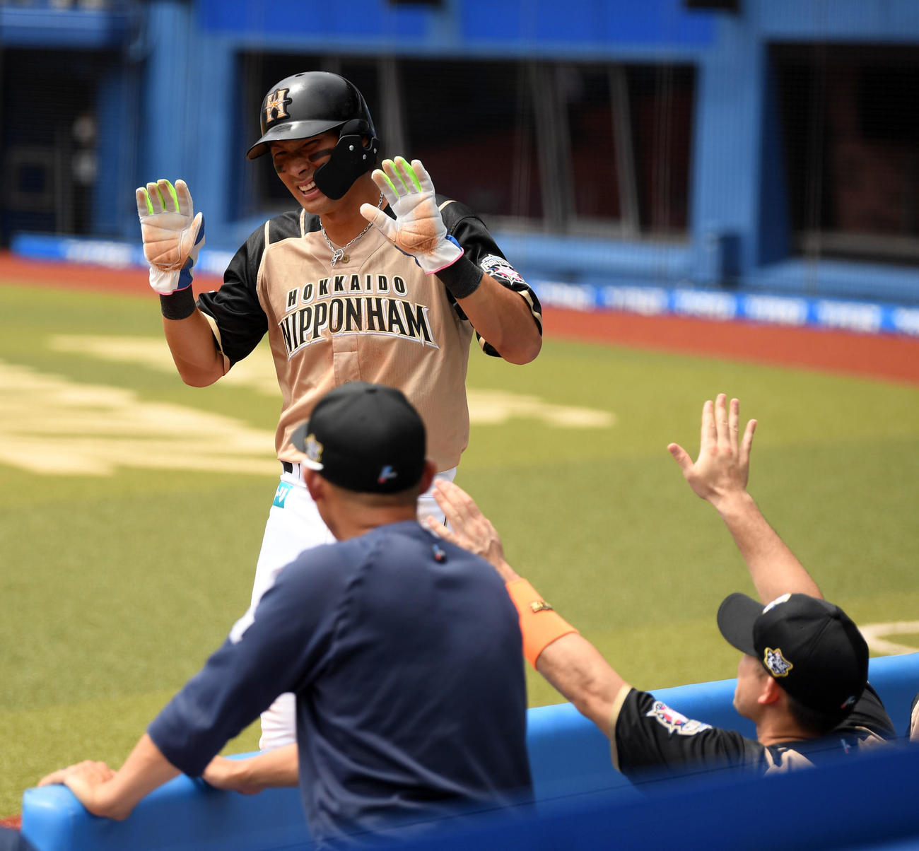 練習試合　ロッテ対日本ハム　1回表日本ハム1死一、二塁、中田の中前適時打で生還しエアタッチをする大田（撮影・横山健太）