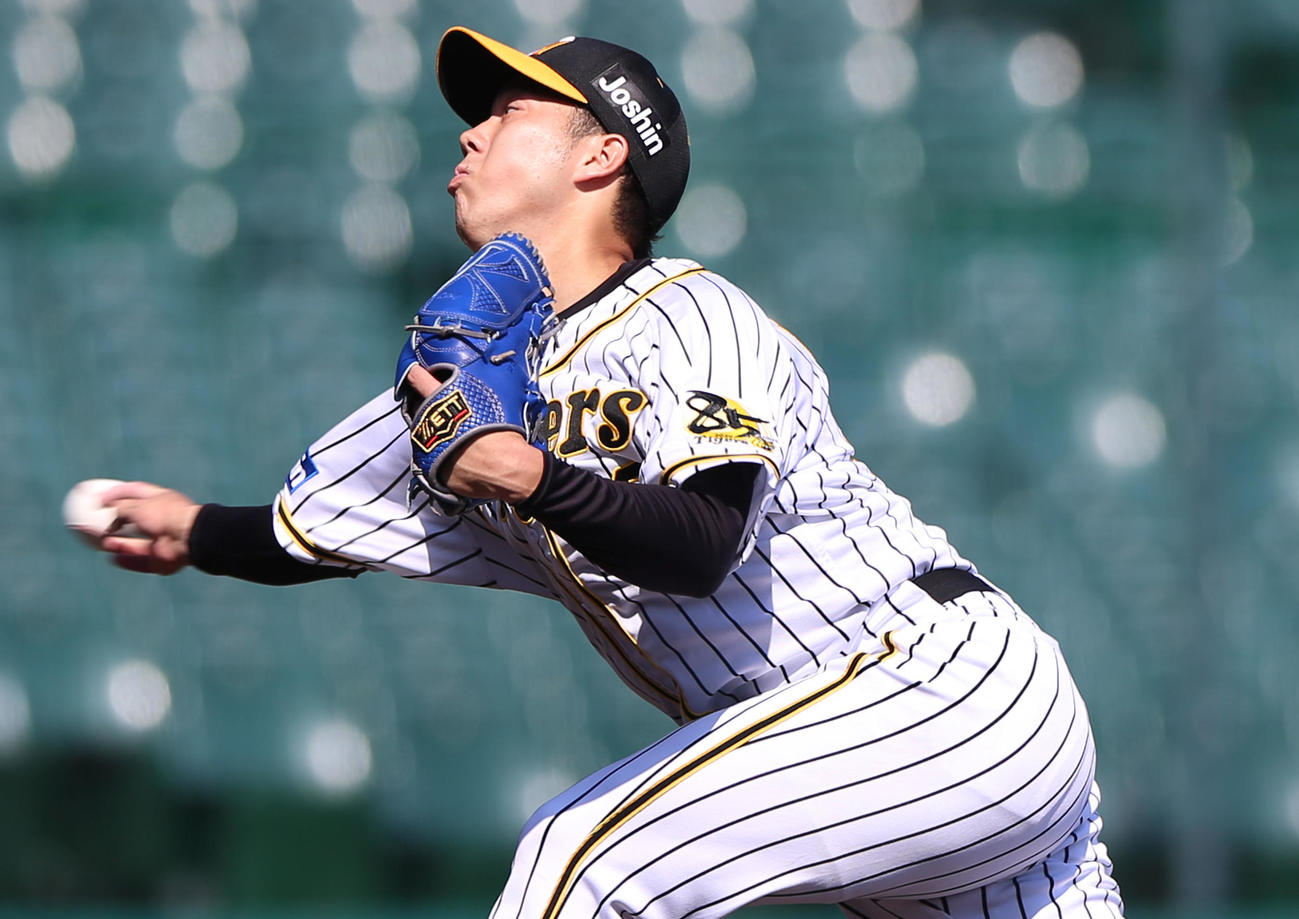 練習試合阪神対広島　好投する青柳（撮影・上山淳一）