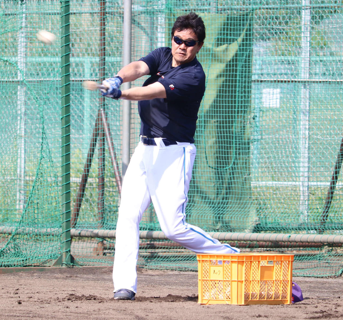 全体練習が再開となり、外野ノックを打つBC神奈川・鈴木尚典監督（撮影・湯本勝大）