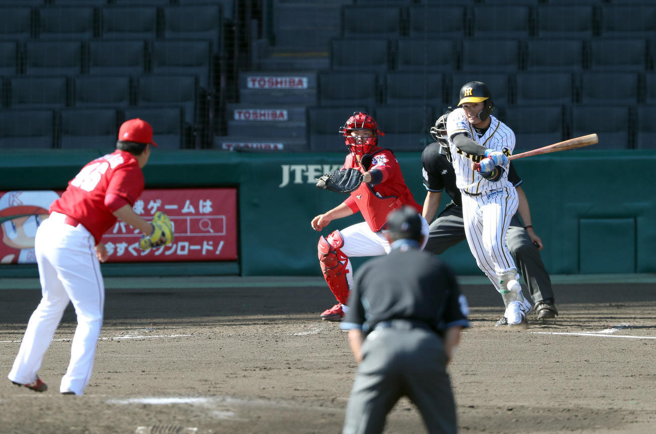 阪神対広島　5回裏阪神無死一塁、左前打を放つ北條（撮影・前田充）