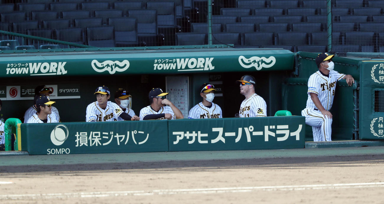 阪神対広島　4回裏阪神無死一塁、右越え2点本塁打を放ったボーア（右から2人目）はサイレントトリートメントで迎えられる（撮影・前田充）