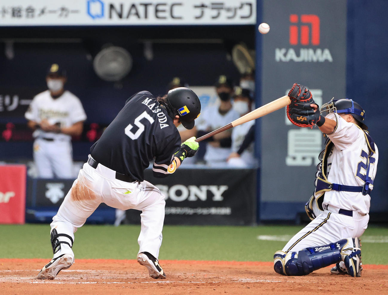 オリックス対ソフトバンク　8回表ソフトバンク2死一塁、頭部に死球を受ける松田宣浩（撮影・清水貴仁）