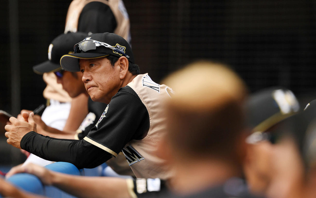 ロッテ対日本ハム　試合を見つめる日本ハム栗山監督（撮影・横山健太）