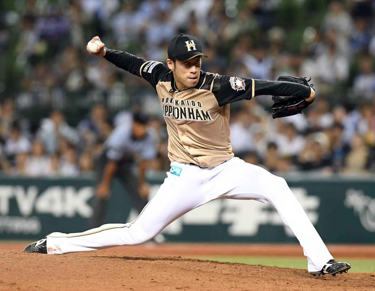 日本ハム秋吉亮（2019年8月22日撮影）