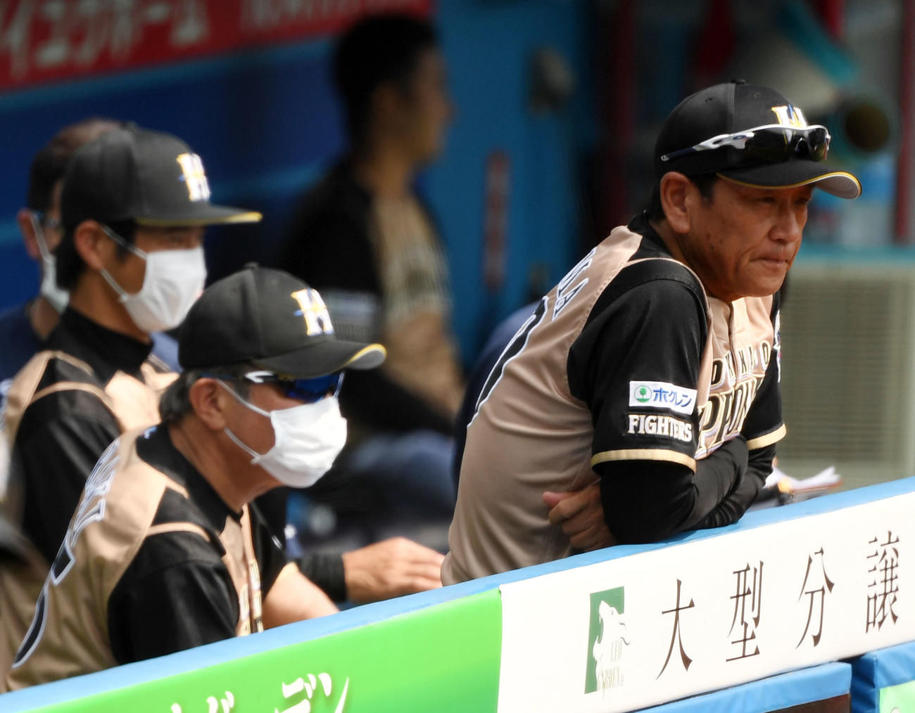 練習試合ロッテ対日本ハム　試合を見つめる日本ハム栗山監督（右）と荒木2軍監督（中央）（撮影・横山健太）
