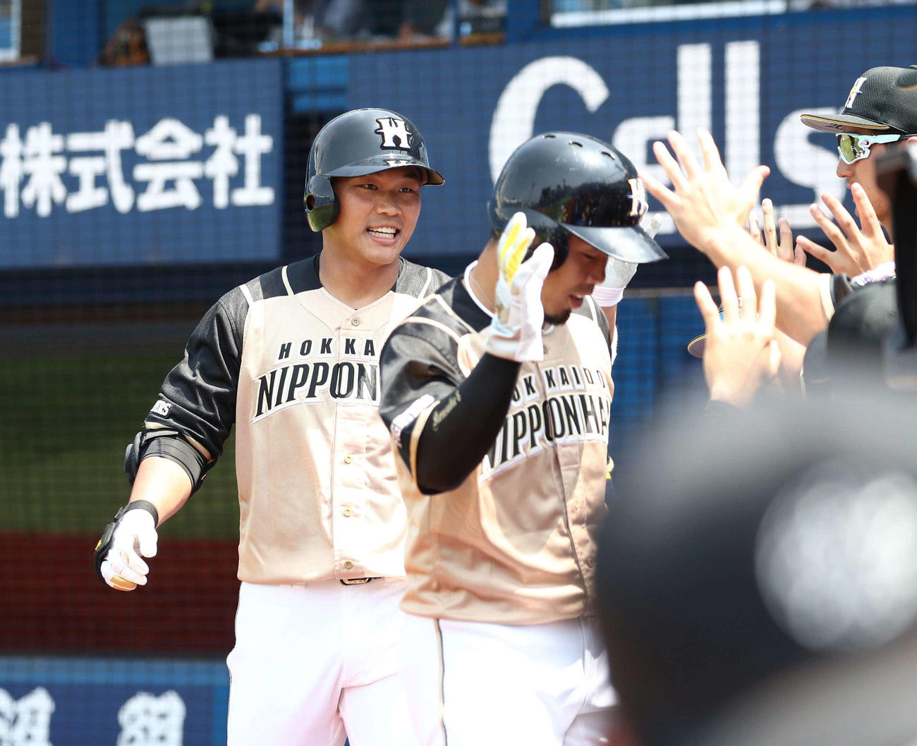 DeNA対日本ハム　1回表日本ハム2死一塁、右中間に2点本塁打を放ちナインとエアタッチする王柏融（撮影・黒川智章）