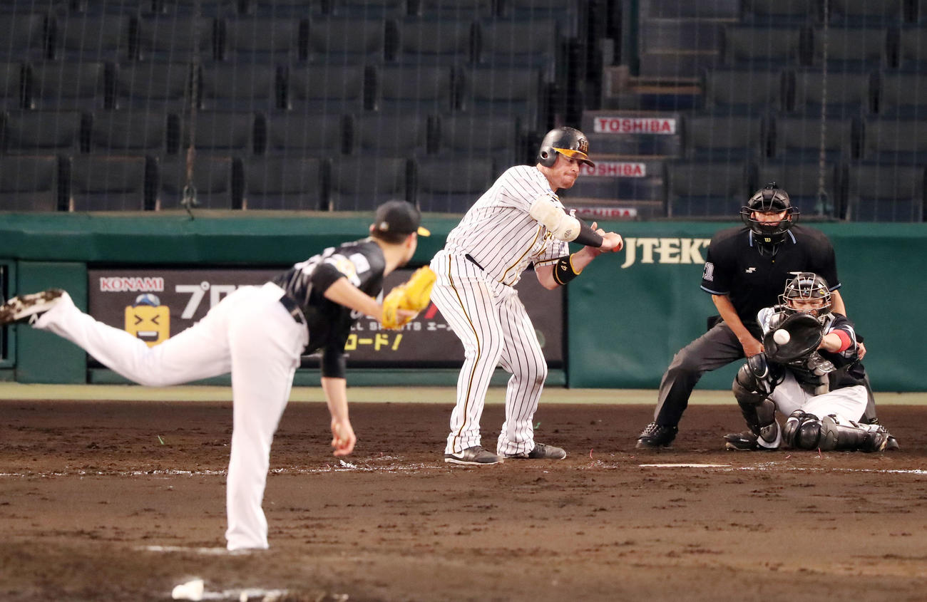 阪神対ソフトバンク　4回裏阪神無死、見逃し三振するボーア（撮影・加藤哉）
