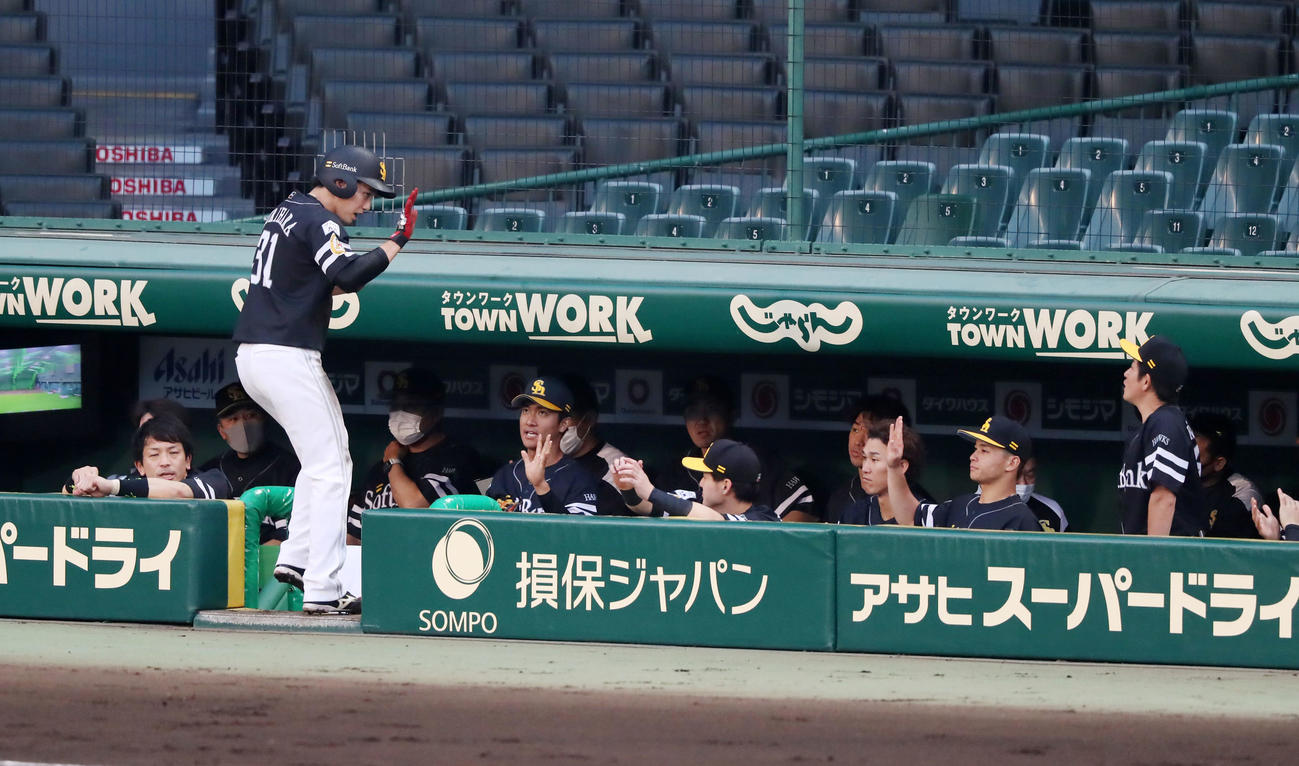 阪神対ソフトバンク　3回表ソフトバンク2死二塁、二走栗原は上林の中前適時打で生還しベンチのナインに向かってエアタッチする（撮影・加藤哉）