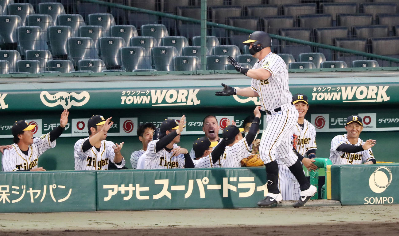 阪神対ソフトバンク　3回裏阪神無死、サンズは中越え本塁打を放ちベンチのナインとエアタッチ（撮影・加藤哉）