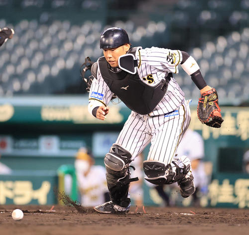 練習試合阪神対ソフトバンク 7回表ソフトバンク1死一塁、能見篤史の暴投ではじいたボールを捕りにいく捕手原口文仁(撮影・清水貴仁)