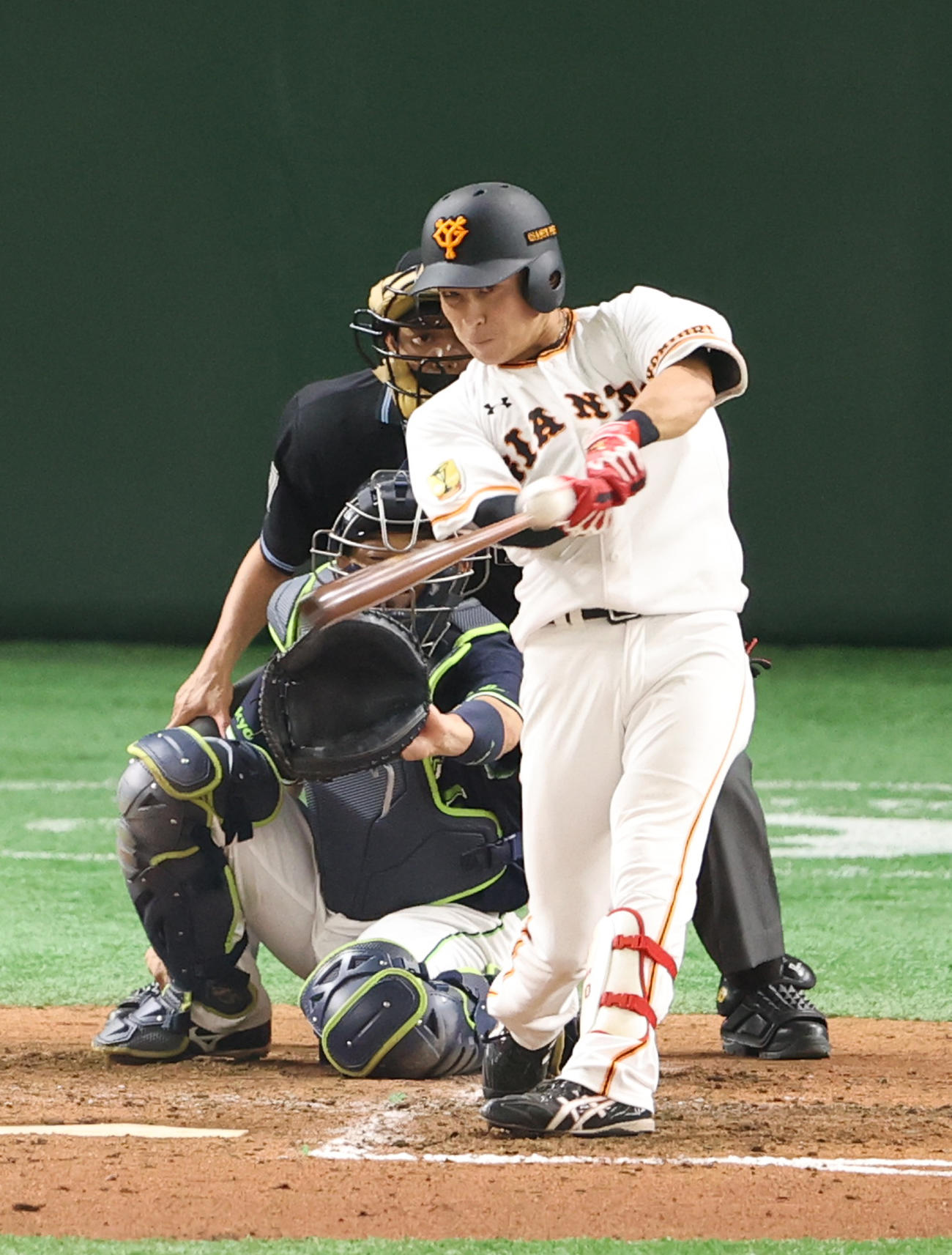 巨人増田大輝（6月5日撮影）
