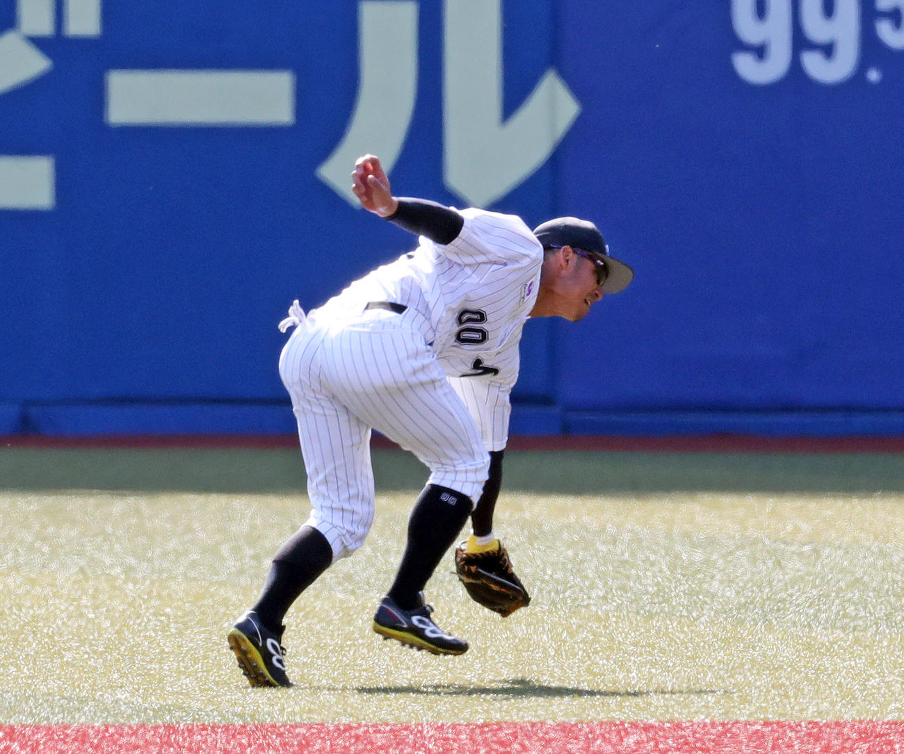7回裏楽天2死、鈴木の二ゴロを華麗にさばく鳥谷（撮影・垰建太）