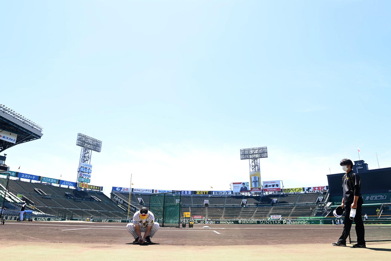 高校球児のため甲子園の土を集める矢野監督（代表撮影）