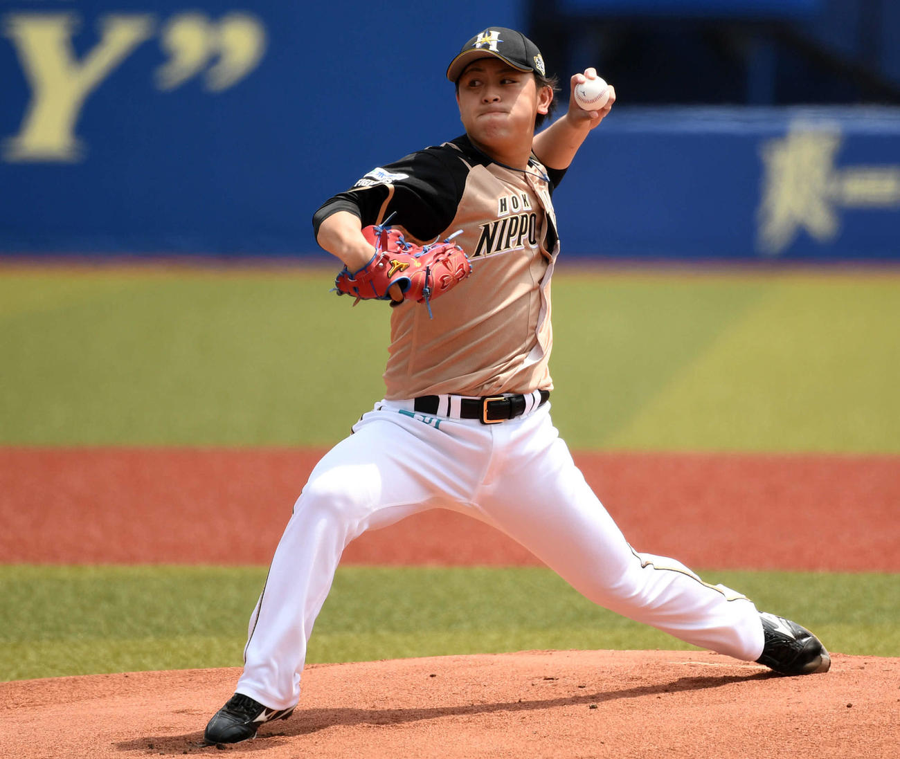 日本ハム河野（20年6月3日撮影）
